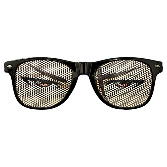 Aizen Anime Glasses | Bleach Sunglasses [Main Character POV]