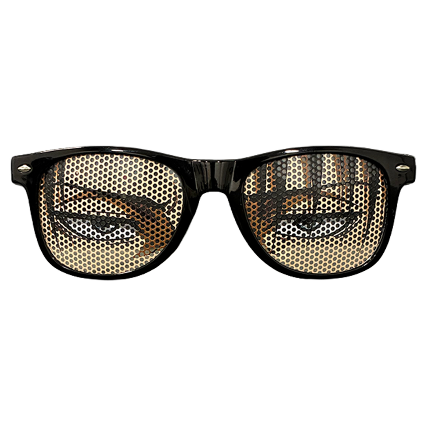 Levi Anime Glasses | Attack on Titan Sunglasses [Main Character POV]