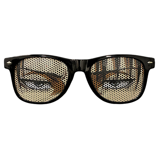 Levi Anime Glasses | Attack on Titan Sunglasses [Main Character POV]