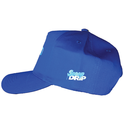 MAYD x Scoop Drip Snapback Hat