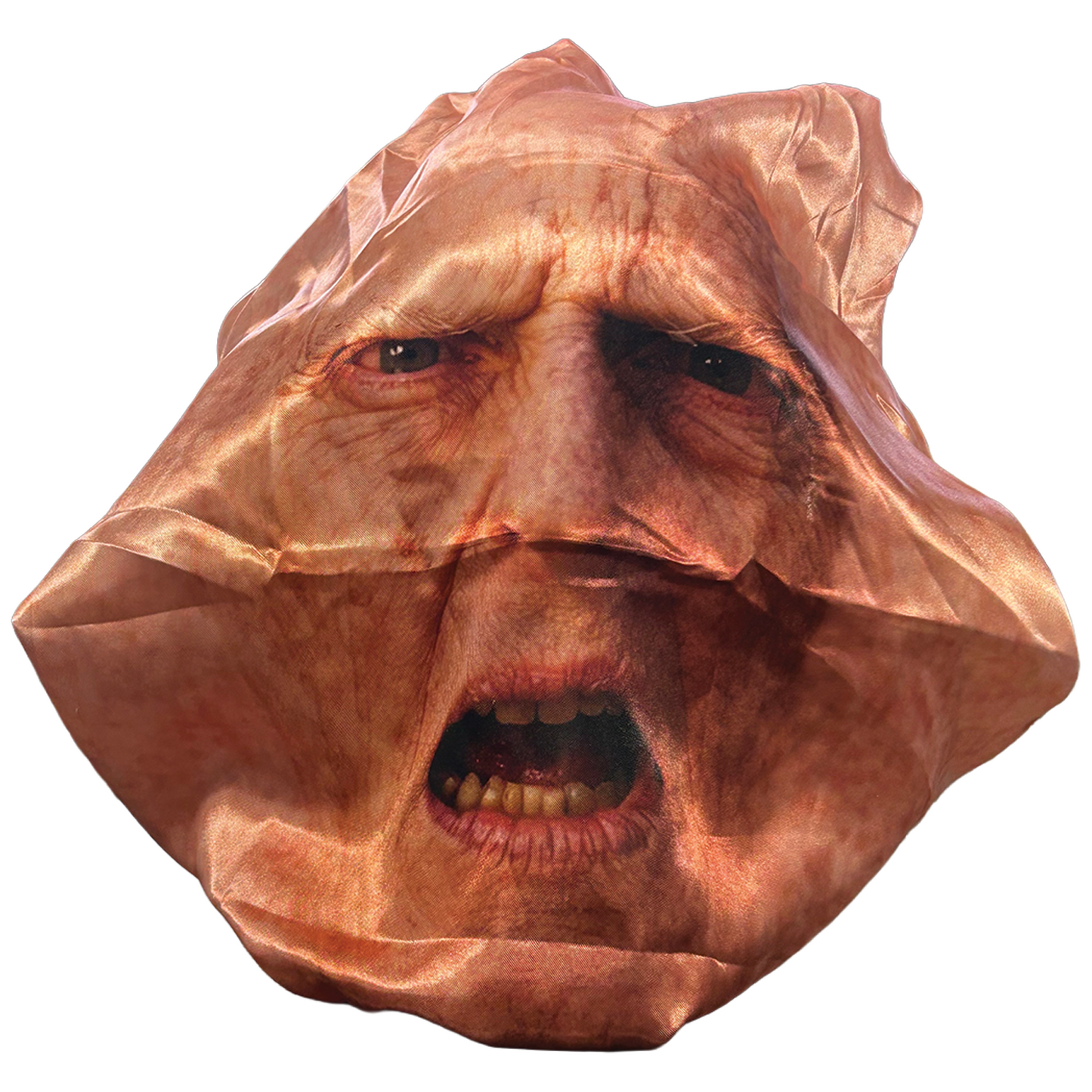 MAYD In America Bonnet [Harry Potter Voldemort]